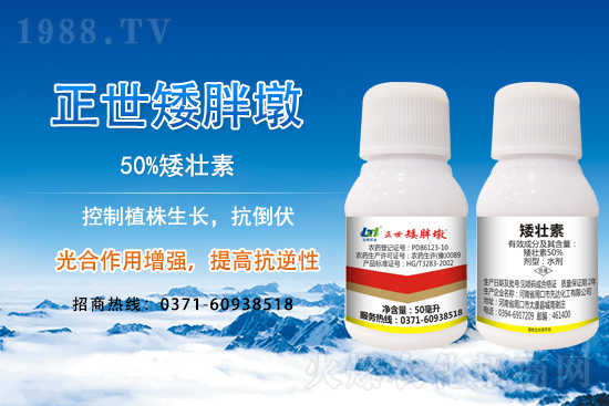 С����ǰ���L��ʲôΣ������ȡʲô��ʩ����Ч��ͽ�L��