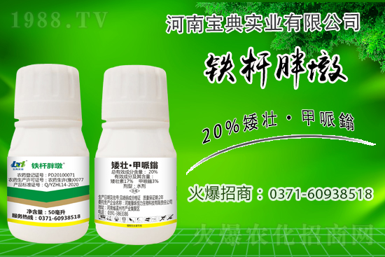 С����ǰ���L��ʲôΣ������ȡʲô��ʩ����Ч��ͽ�L��