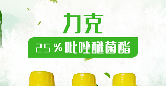 25%�����Ѿ���-����-���_01