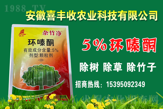 1    �h(hu��n)�ͪ�����ÙC(j��)������Щ��ԓ��Ώ�(f��)�䣿�h(hu��n)�ͪ�m�����Ｐ��(y��ng)�÷�����