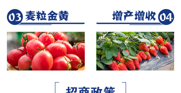 ��ƷС���߮a(ch��n)�ײ�-ِ��¶_06