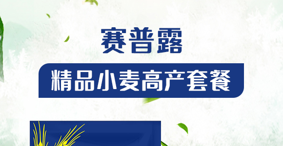 ��ƷС���߮a(ch��n)�ײ�-ِ��¶_01