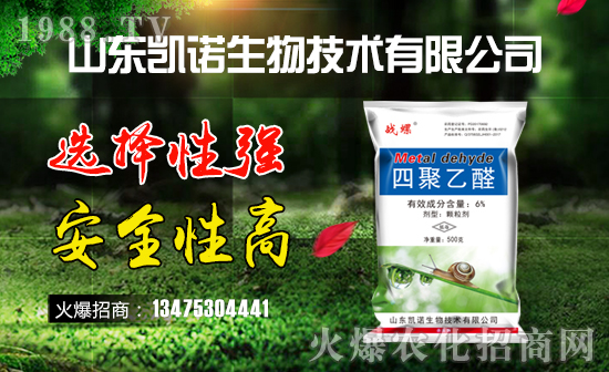 ����ף�R�P�Z���ﺞ�s���v1988.TV���_���W(w��ng)�j(lu��)������ģʽ��