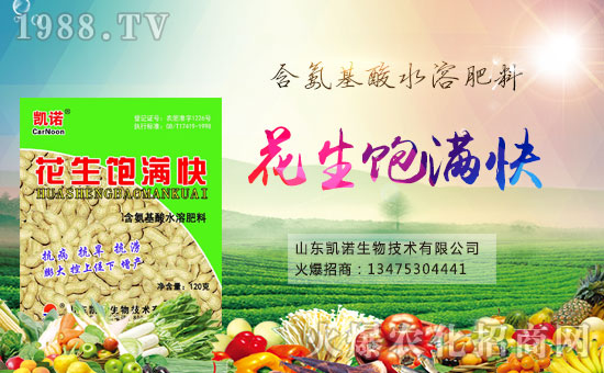 ����ף�R�P�Z���ﺞ�s���v1988.TV���_���W(w��ng)�j(lu��)������ģʽ��