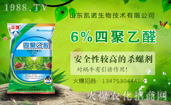 ����ף�R�P�Z���ﺞ�s���v1988.TV���_���W(w��ng)�j(lu��)������ģʽ��