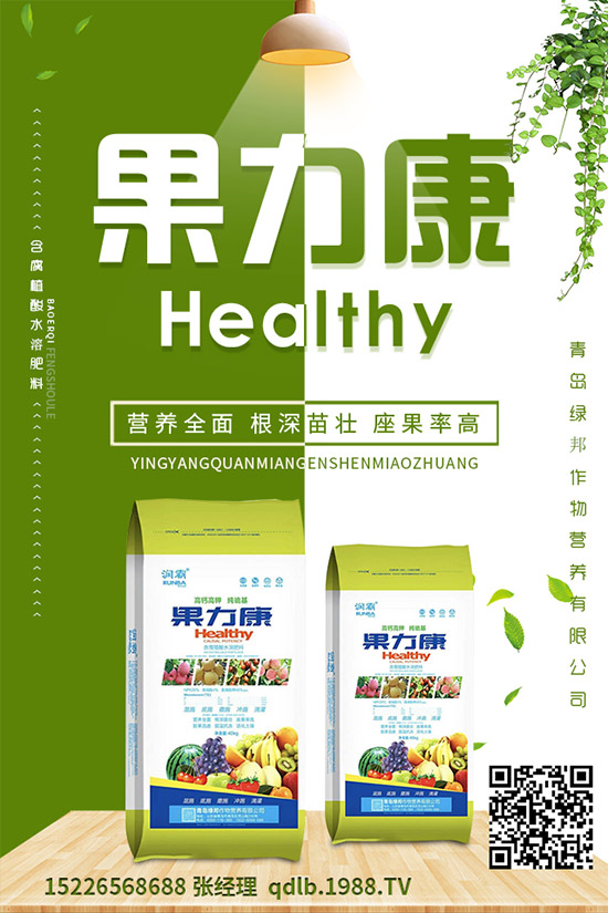 �����ĸ������g�Y���������ĸ����İl(f��)��Ҏ(gu��)�ɼ����Σ�