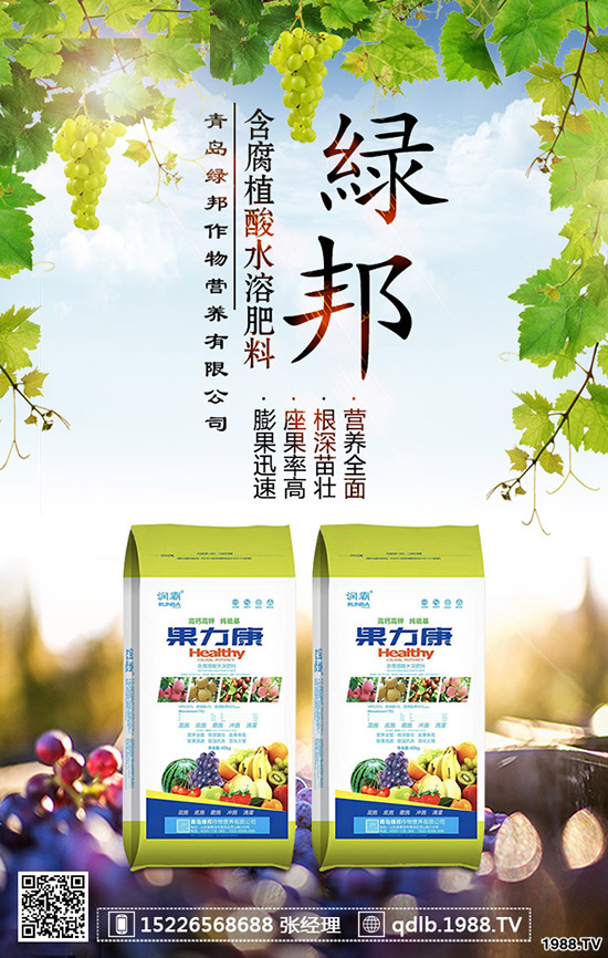 春季菠菜怎樣施肥好？種植菠菜如何科學(xué)施肥