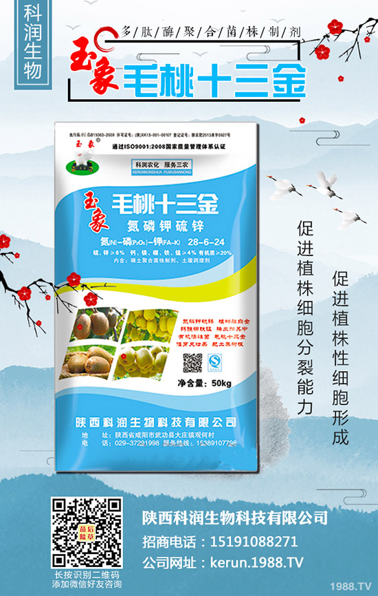     ���裺�����B�m(x��)�q�r(ji��)�����L(f��ng)�U(xi��n)�����2020-3-13��������(b��o)�r(ji��)��