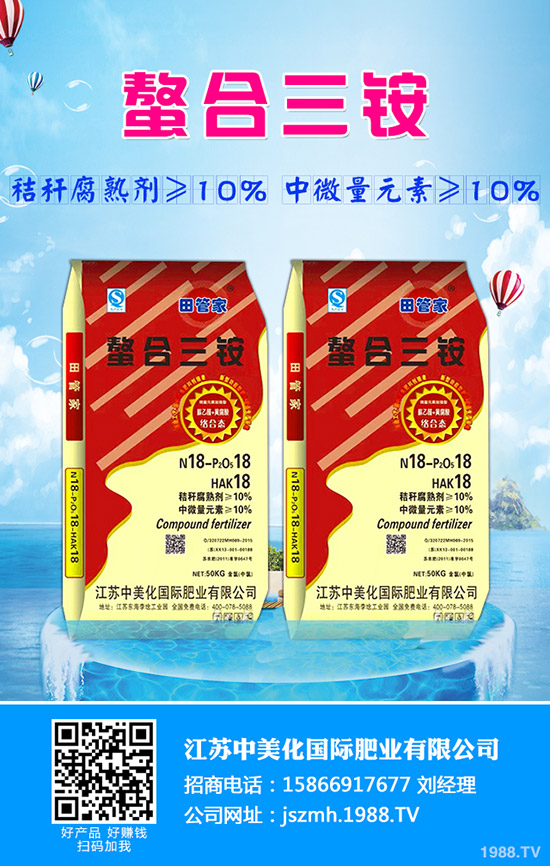 生菜水培的好處有哪些？生菜水培管理方法！