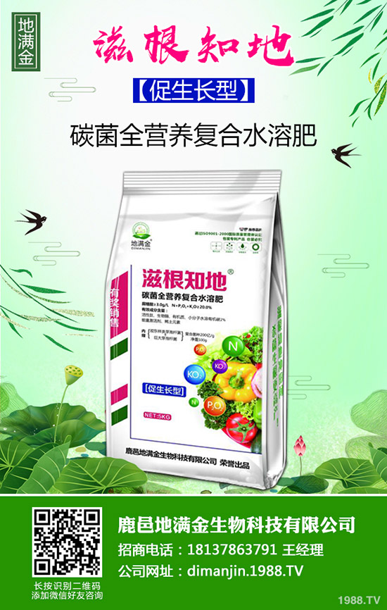 馬鈴薯種植怎么能高產(chǎn)？馬鈴薯栽培小技巧！