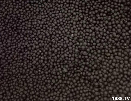 ��(f��)��΢�������-�ؿ���