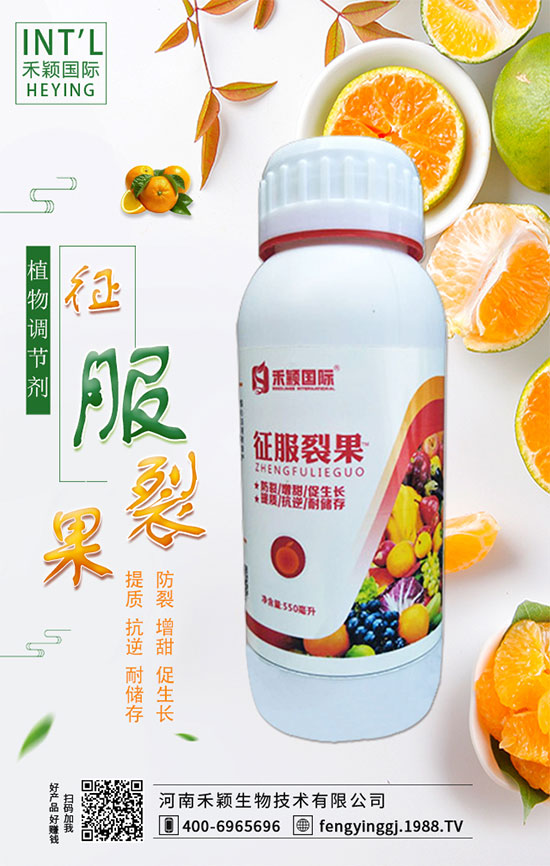 柑橘什么時(shí)間適宜栽種？柑橘肥水管理有哪些？