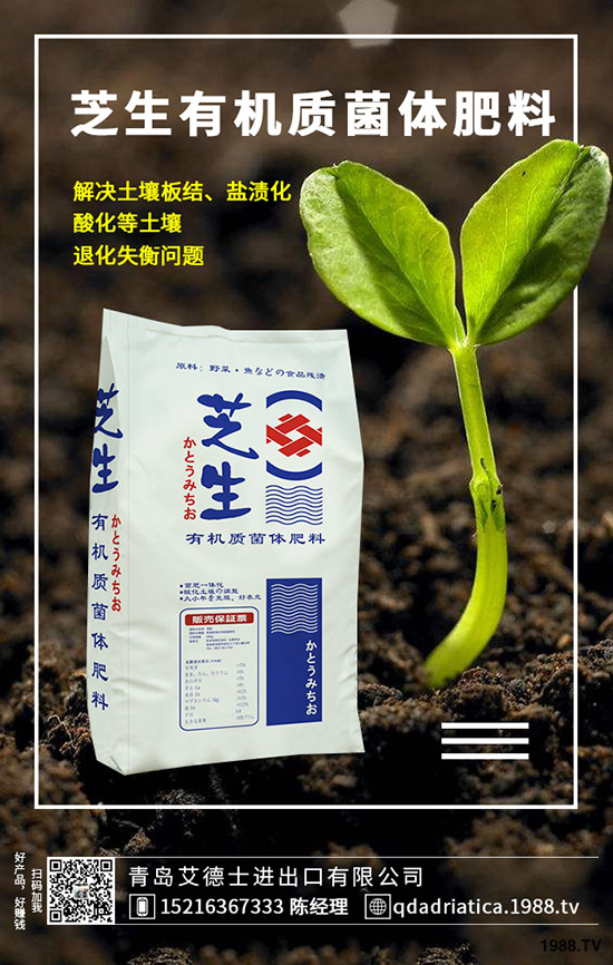 ��������ô��Ч�����ã������ص�ʹ�÷�����