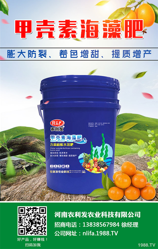 �Nֲ���g���X����2020���g�Nֲǰ����Ч�����