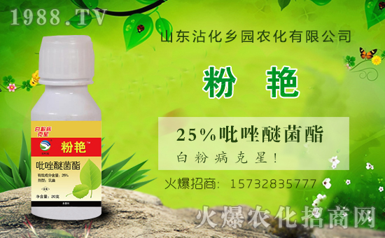 �r(n��ng)���W(w��ng)ϲӭ�»�飬�y���l(xi��ng)�@�r(n��ng)������ؔ(c��i)��֮·��