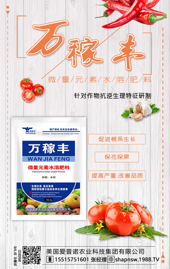 茶葉是什么時候種植的？茶葉的市場前景及種植效益！