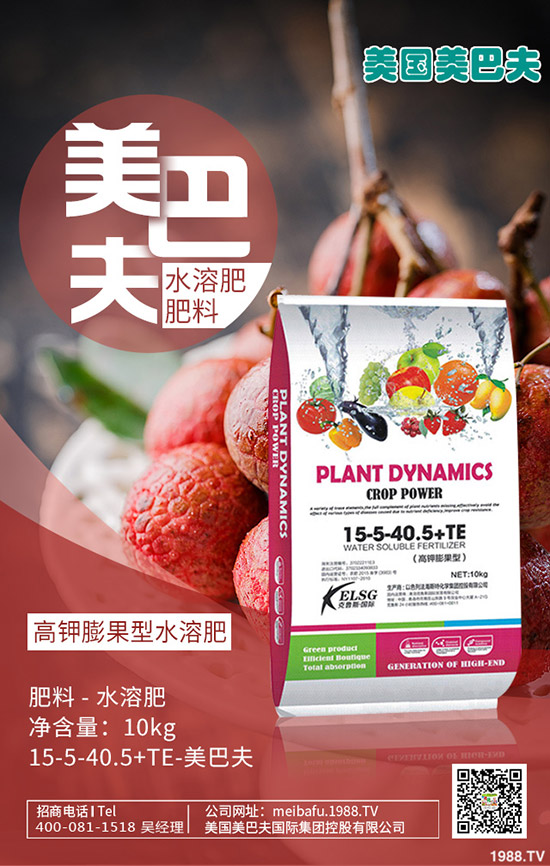 茼蒿怎么種?茼蒿的種植時(shí)間及方法