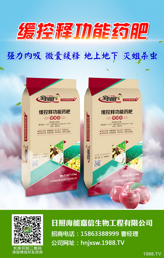 春季冬瓜栽培種植管理技術