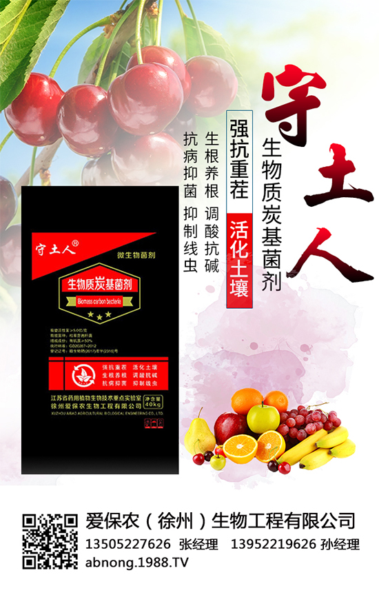 �۱��r�����ٴΔy��1988.TV���y���ل�(chu��ng)���x�ͣ�