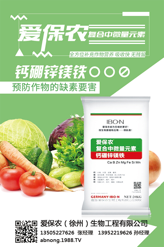 �۱��r�����ٴΔy��1988.TV���y���ل�(chu��ng)���x����