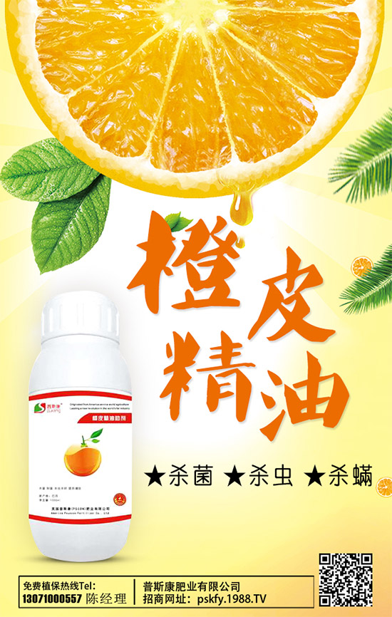 ��(zh��n)�Ժ�������������˹���ʘI(y��)�y��1988.TV�ل�(chu��ng)�x����