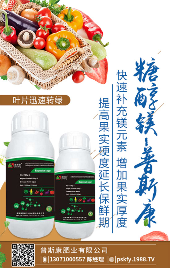 ��(zh��n)�Ժ�������������˹���ʘI(y��)�y��1988.TV�ل�(chu��ng)�x����