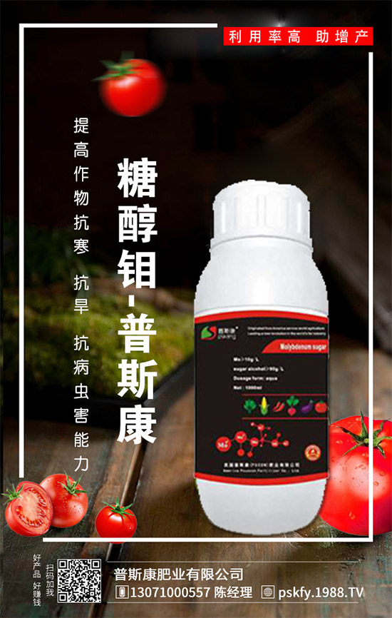 ��(zh��n)�Ժ�������������˹���ʘI(y��)�y��1988.TV�ل�(chu��ng)�x����