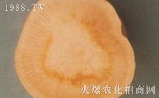     �}�����Ĳ��İY����}�����Ĳ��ķ�����