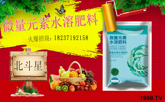 1988.TVϲӭ�»�飬���ϱ����ǔy��1988.TV���Aδ����