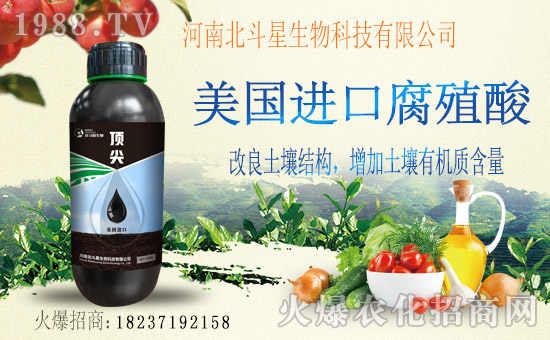 1988.TVϲӭ�»�������ϱ����ǔy��1988.TV���Aδ����