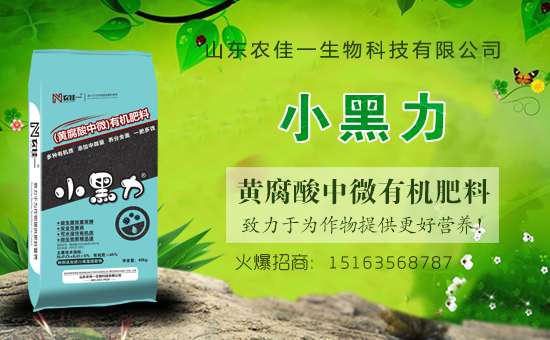 ���r(n��ng)���W(w��ng)ϲӭ���������r(n��ng)��һ���ﺞ�s���v1988.TV��