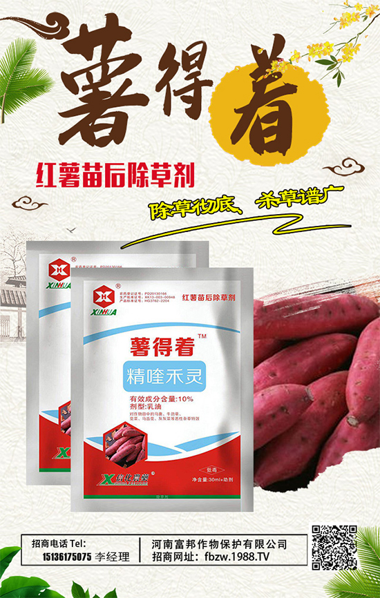 ���ϸ����ٶȔy��1988.TV���y�ֹ���(chu��ng)��(zh��n)�����ل�(chu��ng)�x����