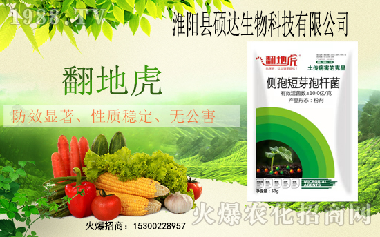 ���r(n��ng)���W(w��ng)ϲӭ���������T�_(d��)����𱬁��u�����v�ɹ���