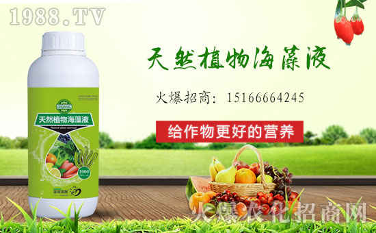 ���r(n��ng)���W(w��ng)ϲӭ�����ѣ��y�����u�Ơ���˹����ؔ��֮·��