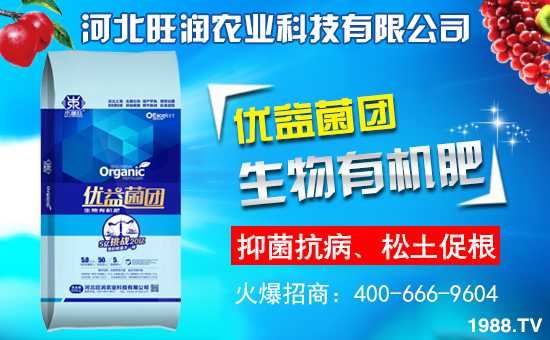 �ӱ������r(n��ng)�I(y��)�m(x��)�s1988.TV�����\�����°l(f��)չ��