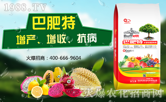 �ӱ������r(n��ng)�I(y��)�m(x��)�s1988.TV�����\�����°l(f��)չ��