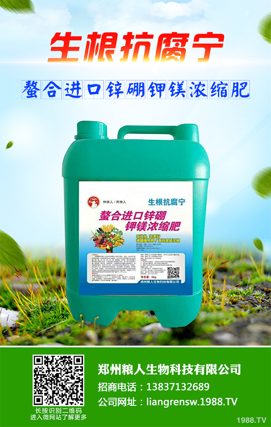 ���~��ԓ��ηNֲ����ˎ�����~��߮a�Nֲ���gҪ�c