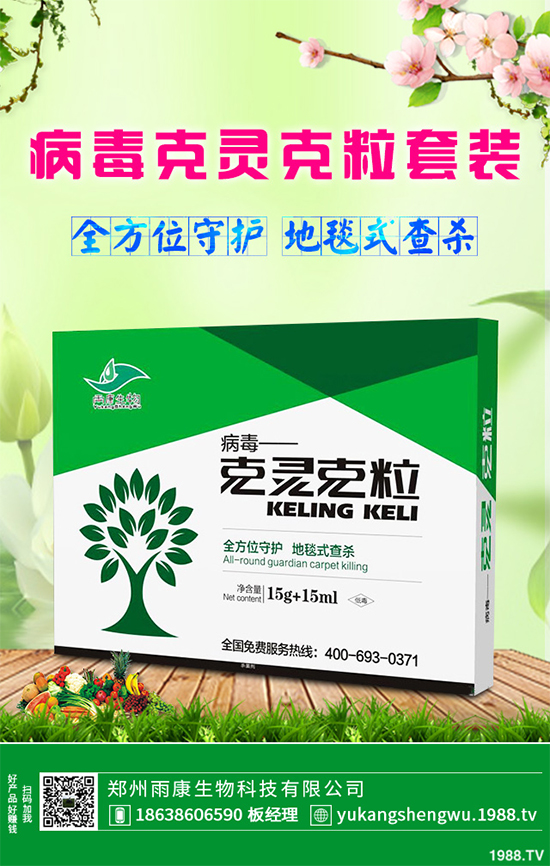 �W�ˌ�Ҫ���á���ɭ�i�\����