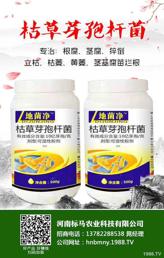 茄子想高產(chǎn)，整枝修葉是關(guān)鍵！茄子整枝修葉原則及方法介紹！