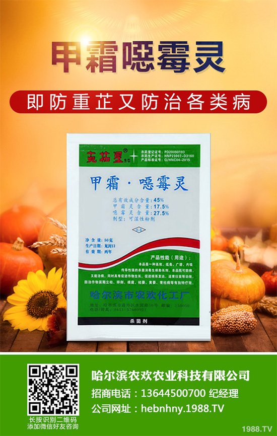 ���������r(ji��)���������