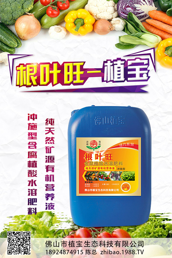 癩葡萄該如何栽培？癩葡萄高產栽培技術