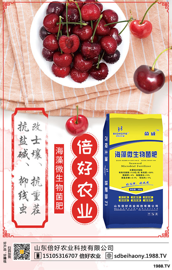 注意:尿素行情,又有新變化?2020-4-16來看各地最新報價!
