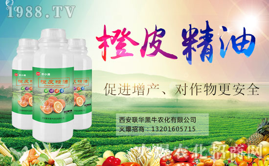 喜報!1988.TV喜迎新盟友!聯(lián)華黑牛強勢來襲!