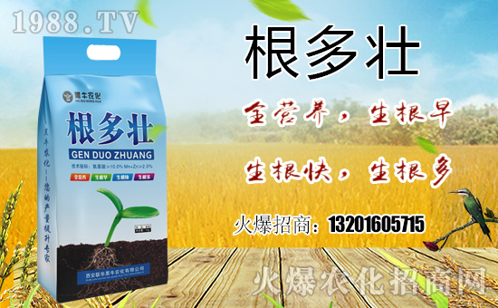 喜報!1988.TV喜迎新盟友!聯(lián)華黑牛強勢來襲!