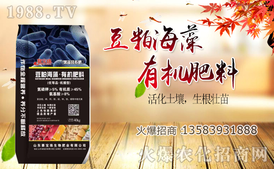 賽寶珠生物簽約1988.TV,共謀合作促雙贏!