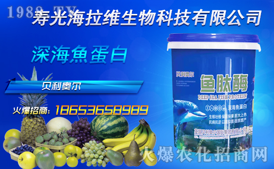 ���r(n��ng)���W(w��ng)ϲӭ�����ѣ������S���ﺞ�s���v1988