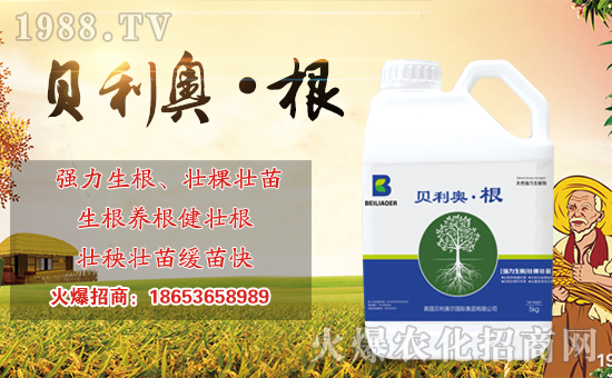 ���r(n��ng)���W(w��ng)ϲӭ�������������S���ﺞ�s���v1988