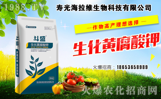 ���r(n��ng)���W(w��ng)ϲӭ�������������S���ﺞ�s���v1988