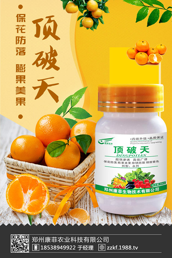 菜豆怎樣施肥才能高產(chǎn)?菜豆需肥特點(diǎn)與施肥技術(shù)!