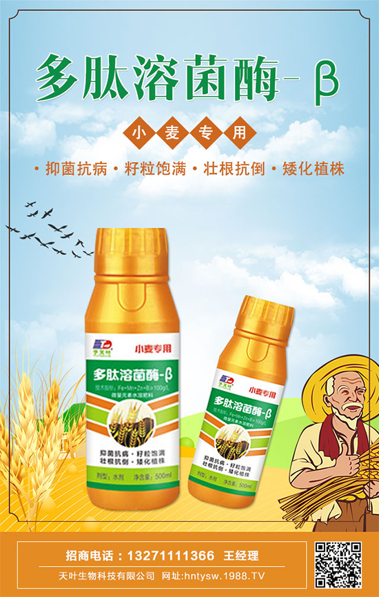 天葉生物再簽1988.TV,攜手打造招商奇跡!